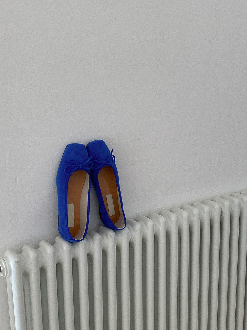 loyal blue ribbon flat shoes